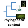 Sequence conservation via cross-species alignments (Not available)