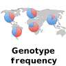 Allele and genotype frequencies (Not available)