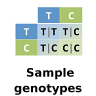 Sample genotypes
